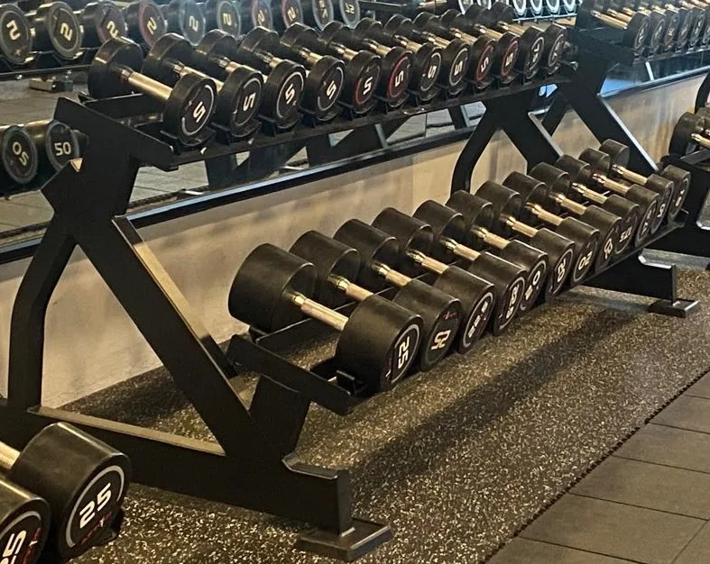 Afton 2-Tier Dumbbell Rack with Saddles – Commercial Gym, photograph 1 of 1