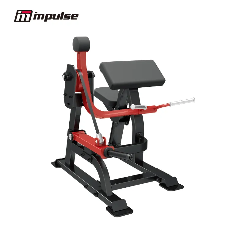 Impulse SL7023 Bicep Curl, photograph 1 of 2