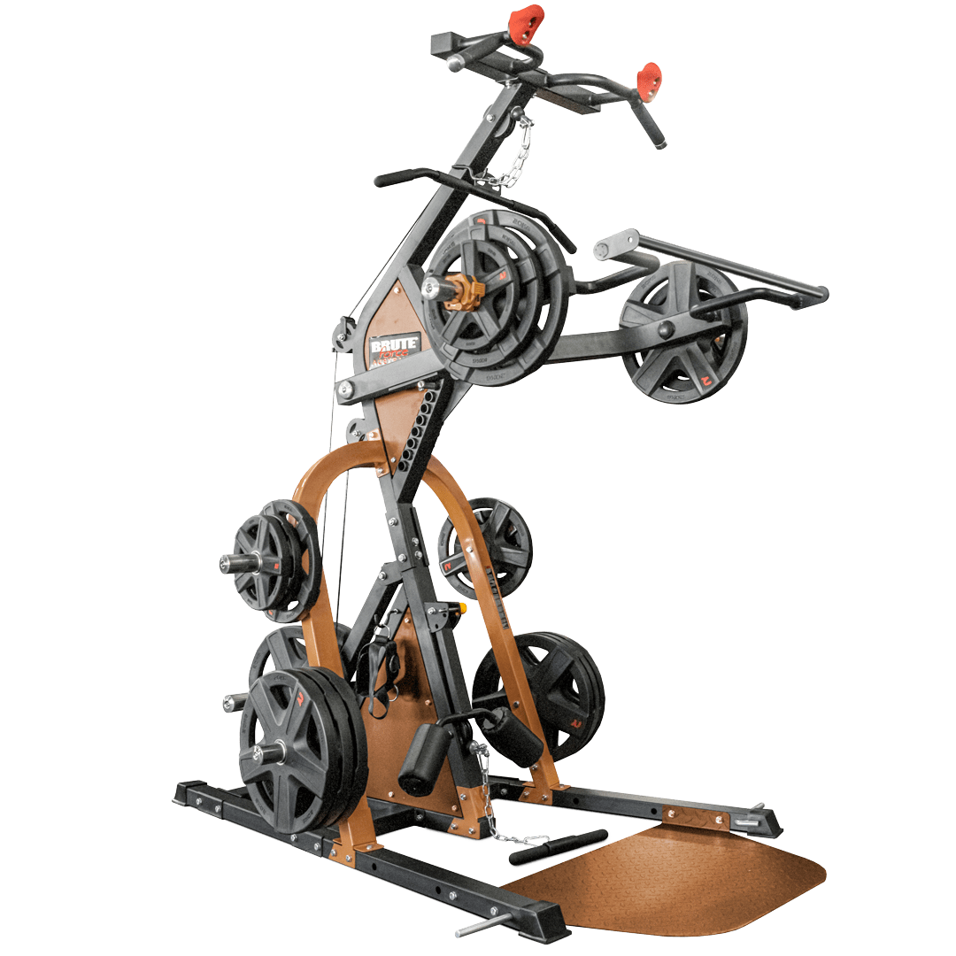 RAPT Leverage Functional Trainer by BRUTEforce Australia, photograph 1 of 1